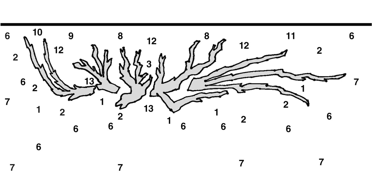 Layout 108 (250 L)