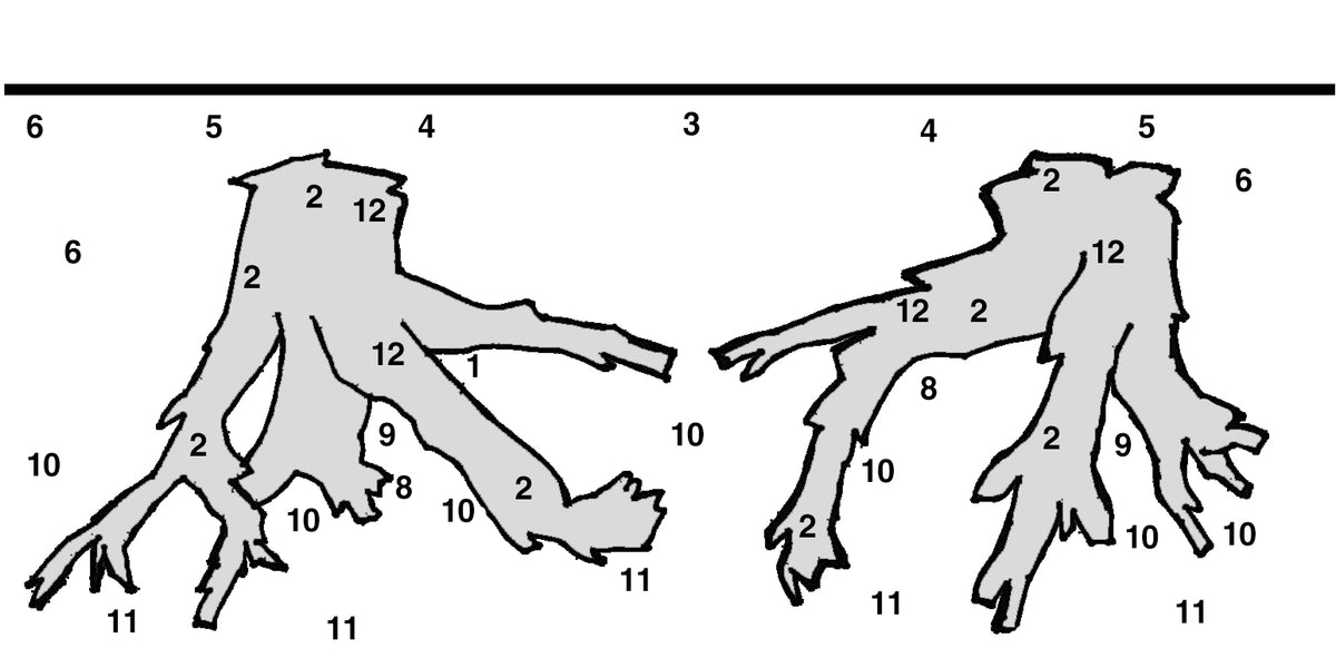 Layout 109 (250 L)