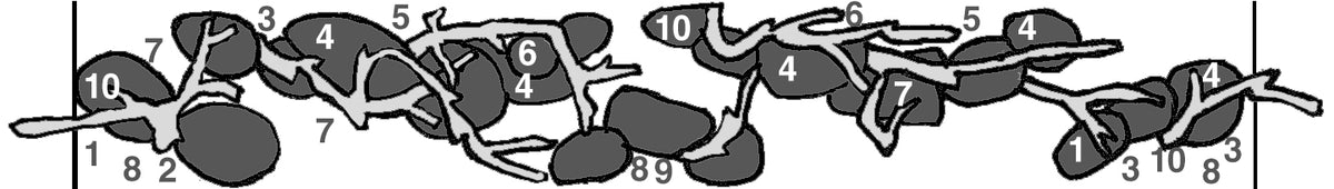 Layout 114 (270 L)