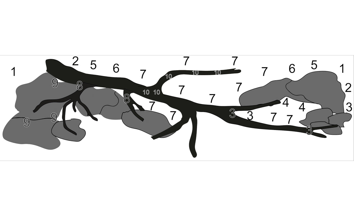 Layout 120 (70 L)