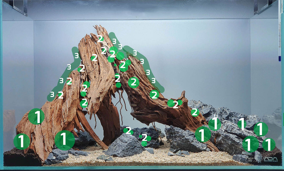 Layout 124 (54 L)